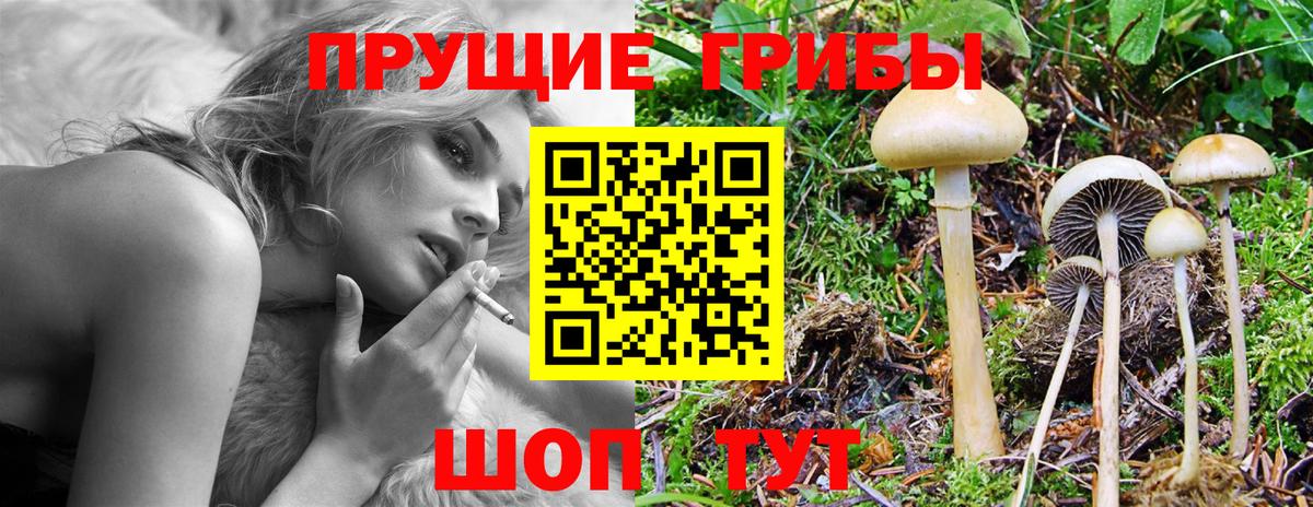 Галлюциногенные грибы MAGIC MUSHROOMS Сокол
